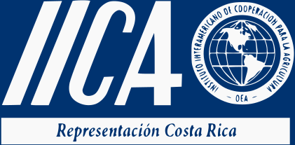 IICA Logo